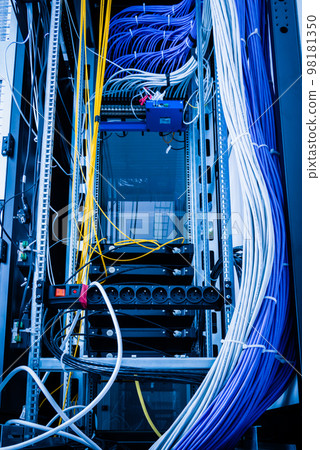 bunch of patch network cables sorted in rack cabinet, leading from patch panel in the server rack in the data center room bunch of patch network cables sorted in rack cabinet, leading from patch panel in the server rack in the data center room 98181350