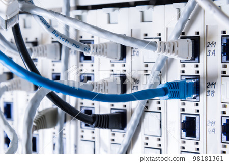 white patch cables connected to data switch white patch cables connected to data switch 98181361