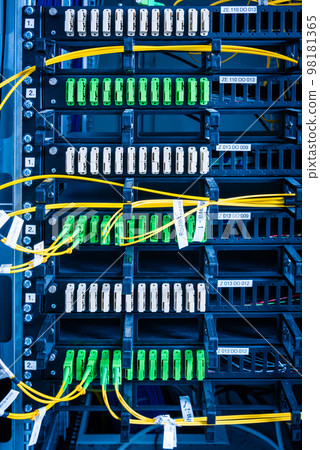 Fiber Optic cables connected to an optic ports - data switch in internet data center Fiber Optic cables connected to an optic ports - data switch in internet data center 98181365