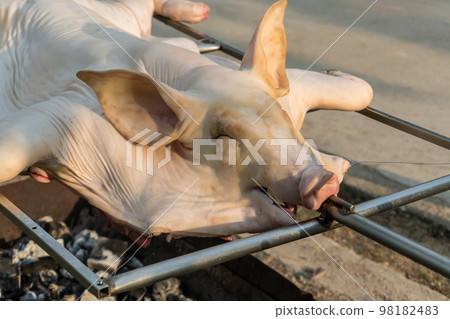 traditional roast suckling pig at countryside. Suckling pig on the stove while roasting. 98182483