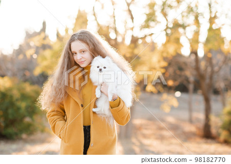 Cute smiling teenage girl 15-16 year old holding white fluffy spitz puppy dog together over autumn yellow nature background in park. Friendship. 98182770