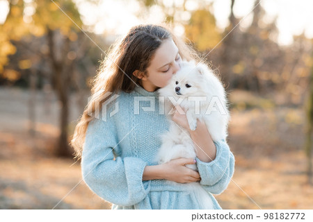 Cute smiling teenage girl 15-16 year old holding white fluffy spitz puppy dog together over autumn yellow nature background in park. Friendship. Cute smiling teenage girl 15-16 year old holding white fluffy spitz puppy dog together over autumn yellow nature background in park. Friendship. 98182772