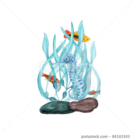 Watercolor illustration of a set of marine fauna isolated on white background. Seahorse, seafish, stone, corals, seaweed, plants, water, sea, ocean. Print design poster fabric decoration Watercolor illustration of a set of marine fauna isolated on white background. Seahorse, seafish, stone, corals, seaweed, plants, water, sea, ocean. Print design poster fabric decoration 98183303