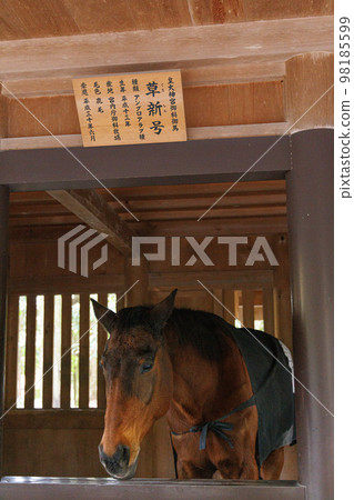 Ise Jingu Naiku Shinme 98185599