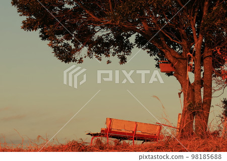 從那時起就沒有改變的長凳 98185688