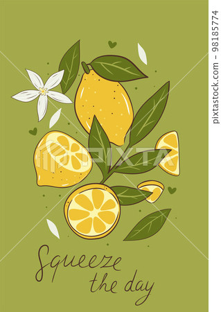 Postcard or poster with lemons, flowers and leaves. Vector graphics. 98185774