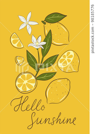 Postcard or poster with lemons, flowers and leaves. Vector graphics. Postcard or poster with lemons, flowers and leaves. Vector graphics. 98185776