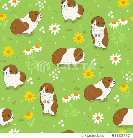 Guinea pigs on flower meadows seamless pattern. Vector graphics. Guinea pigs on flower meadows seamless pattern. Vector graphics. 98185787