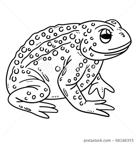 Mother Frog Isolated Coloring Page for Kids 98186355