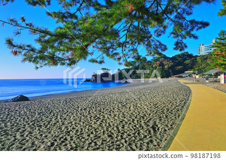 [高知縣]晴天下的桂海灘 98187198