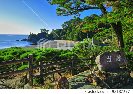 [高知縣]晴天下的桂海灘 98187257