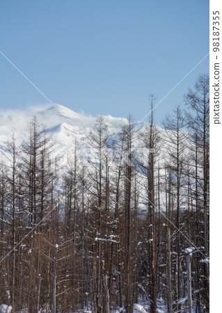 Tokachidake on a sunny winter day Tokachidake on a sunny winter day 98187355