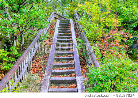 京都六園寺的金閣寺柵欄 98187824
