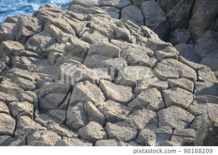 Narinjisaki's Birch Tree 98188209