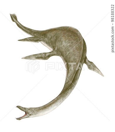 Plesiosaur Muraenosaurus It looks like an eel... 98188322