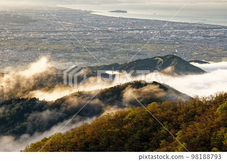 從丹澤表根和山之門看到的新鮮綠色山脈和湘南街景 98188793