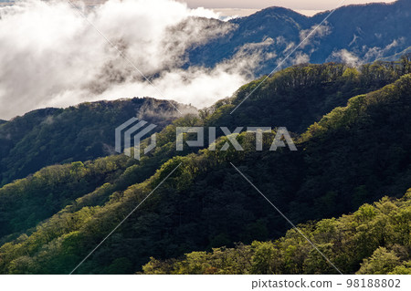 從 Tanzawa Omote Ridge 看到的新鮮綠色山脈和雲 從 Tanzawa Omote Ridge 看到的新鮮綠色山脈和雲 98188802