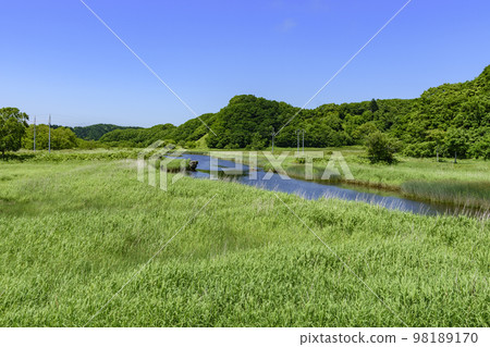 北海道東部厚岸的別寒防濕沼澤 98189170