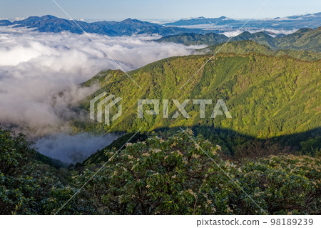 Sea of clouds and fresh green Okura ridge, Hakone, Ashitaka seen from Tanzawa Omote ridge Sea of clouds and fresh green Okura ridge, Hakone, Ashitaka seen from Tanzawa Omote ridge 98189239