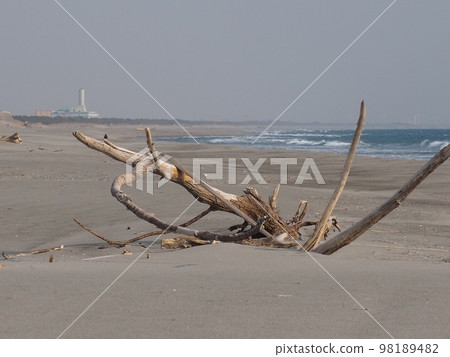 漂流木 漂流木 98189482