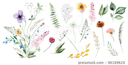 Floral bouquet made of watercolor wildflowers and leaves, wedding and greeting illustration 98189628