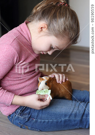 Little girl is sitting at floor and feeding her guinea pig. 98190559