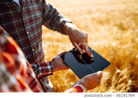 Farmers on a golden wheat field with a tablet in his hands. Farmers discussing harvesting. Farmers on a golden wheat field with a tablet in his hands. Farmers discussing harvesting. 98191764