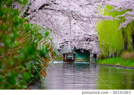 Tenkokubune on the Sakura Canal in Fushimi, Kyoto Tenkokubune on the Sakura Canal in Fushimi, Kyoto 98191863