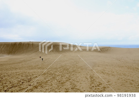 Tottori sand dunes 98191938