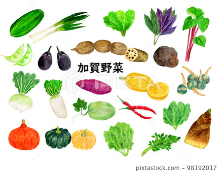List of hand-painted watercolor Kaga vegetables illustrations 98192017
