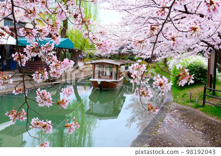 京都伏見櫻花運河天國船 京都伏見櫻花運河天國船 98192043