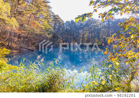 秋天的青沼五色沼 秋天的青沼五色沼 98192201