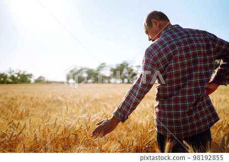 Farmer in a wheat field. Harvesting, organic farming concept. Rich harvest. Farmer in a wheat field. Harvesting, organic farming concept. Rich harvest. 98192855