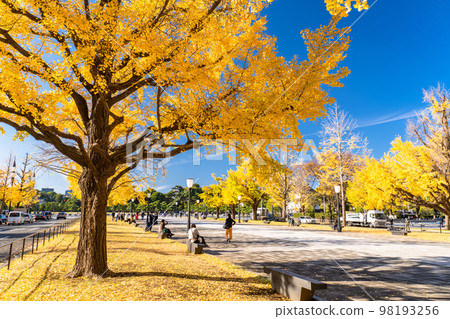 《Tokyo》Autumn Tokyo Marunouchi・Colored Ginkgo Ginkgo Street 《Tokyo》Autumn Tokyo Marunouchi・Colored Ginkgo Ginkgo Street 98193256