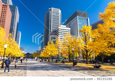 《Tokyo》Autumn Tokyo Marunouchi・Colored Ginkgo Ginkgo Street 《Tokyo》Autumn Tokyo Marunouchi・Colored Ginkgo Ginkgo Street 98193266