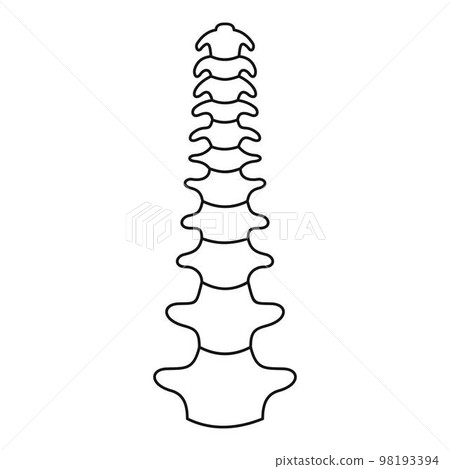 Human spine icon. Outline human spine vector icon for web design isolated on white background 98193394