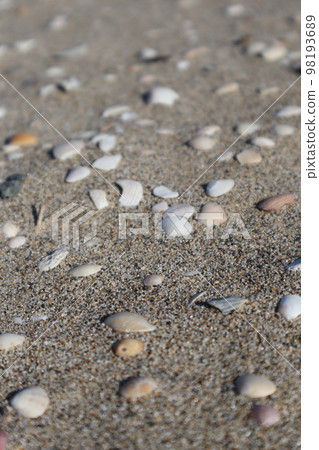 鳥取沙丘海岸 鳥取沙丘海岸 98193689