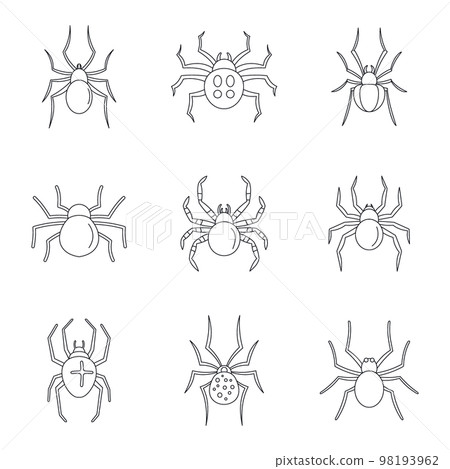 Spider bug caterpillar phobia icons set. Outline illustration of 9 spider bug caterpillar phobia vector icons for web Spider bug caterpillar phobia icons set. Outline illustration of 9 spider bug caterpillar phobia vector icons for web 98193962