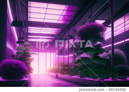 growing vegetables and horticultural crops through hydroponics in a modern high-tech farm growing vegetables and horticultural crops through hydroponics in a modern high-tech farm 98194806