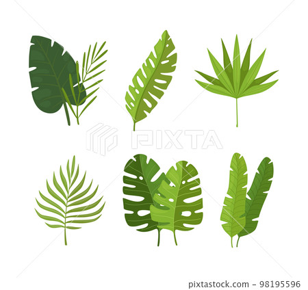 Tropical green leaves set. Jungle exotic plants cartoon vector illustration Tropical green leaves set. Jungle exotic plants cartoon vector illustration 98195596