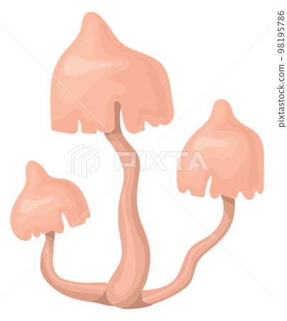 Armillaria fungus icon. Cartoon forest poison mushroom 98195786