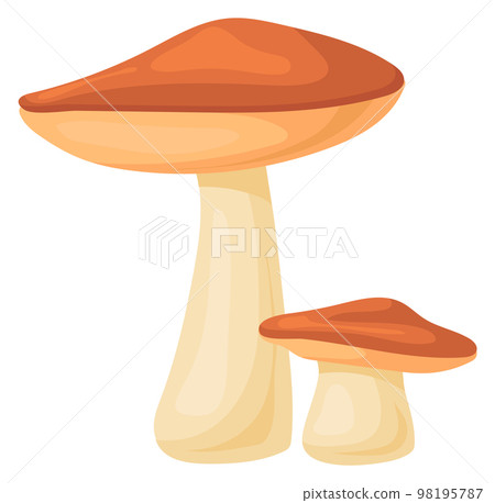 Birch mushroom icon. Cartoon forest cap fungus 98195787