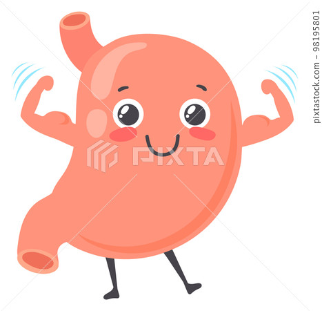Strong healthy stomach character. Human organ mascot 98195801