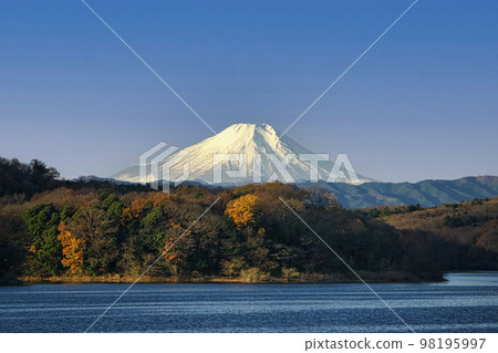 Mt.Fuji seen from Lake Sayama in winter with blue sky 98195997