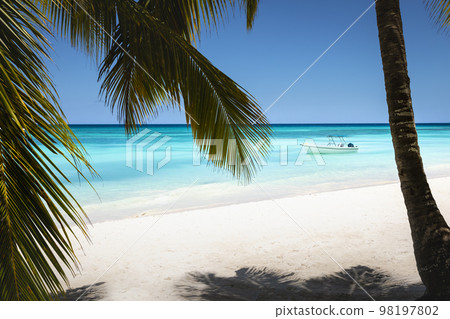 Tropical paradise, sand beach in caribbean Saona Island, Punta Cana, Dominican 98197802