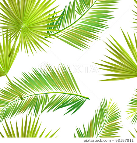 Green palm leaves. Vector illustration. tropical plants seamless pattern. Contemporary vector decoration art. Tropic chaos illustration. 98197811