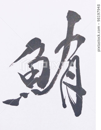 各種字形的金槍魚 各種字形的金槍魚 98197948