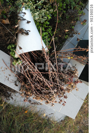Overturned vase with dried flowers Overturned vase with dried flowers 98198016