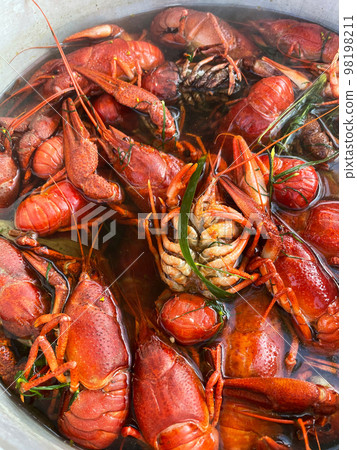 Cooking freshwater crayfish. Crawfish boil in boiling water, close-up.	 98198211