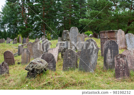 Cemetery of the residents of the village of Druya of Jewish origin, and the victims of the Jewish ghetto located on the territory of the village during World War II. 98198232